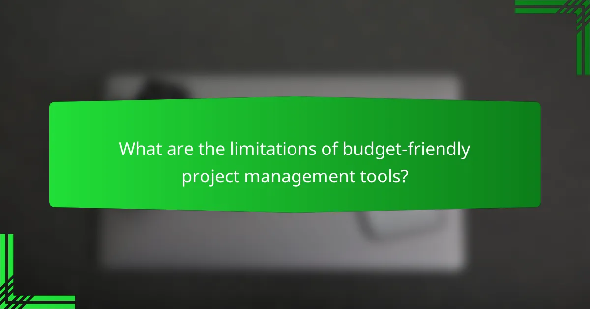 What are the limitations of budget-friendly project management tools?